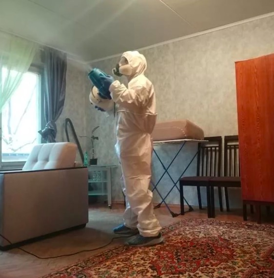 дезинсекция квартиры в Дубне